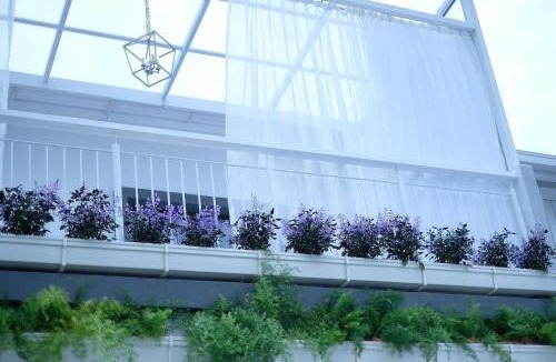 Tanah Rata House | Comfy Sofy 23- Balcony Garden (Night market)
