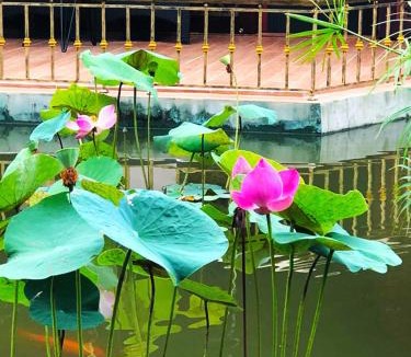 Ninh Kieu Resort | Con Khuong Resort Can Tho