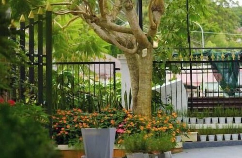 Phuong 10 House | Cozy 2-storey house for more than the whole family