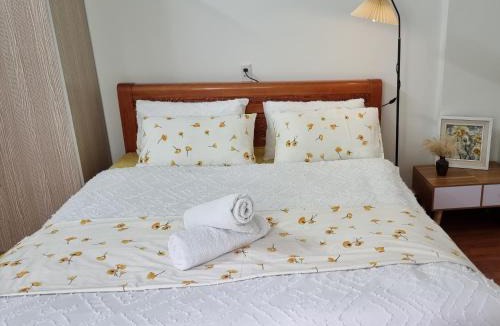 Hai Phong House | Cozy Central House