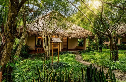Cuc Phuong Resort | Cuc Phuong Mineral Retreat