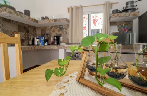 Colonia Repobladores Apartment | Cute and cozy studio flamingos in Cozumel. AC, WIFI, Pool, mezzanine floor,grill