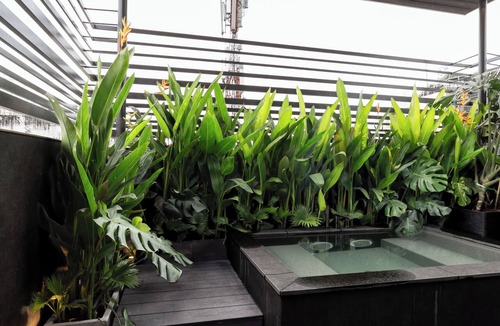 Phuong 6 Apartment | Cyber Violet Studio @ Saigon's alley Rooftop Onsen