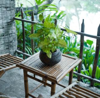 Cai Rang House | Dan Sinh Homestay