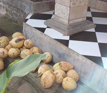 Hu'u Bed & Breakfast | Dannyjuljol homestay