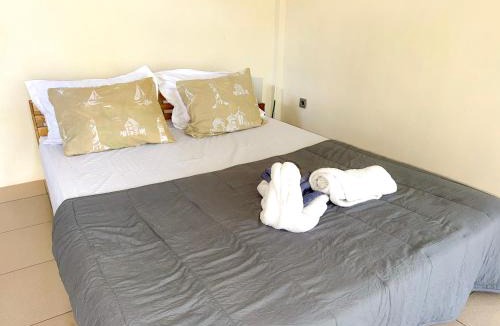 Pemenang Hostel | De Chicktoria Hostel