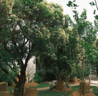Hue House | De Hué