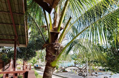Koh Rong Resort | DG Royal Resort