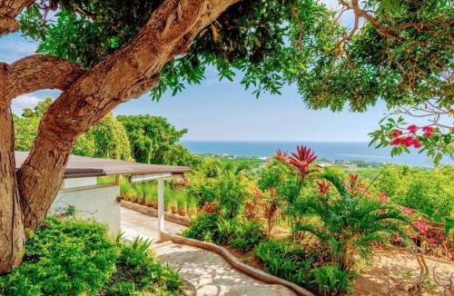 Temukus Villa | Dolphin Villa Lovina