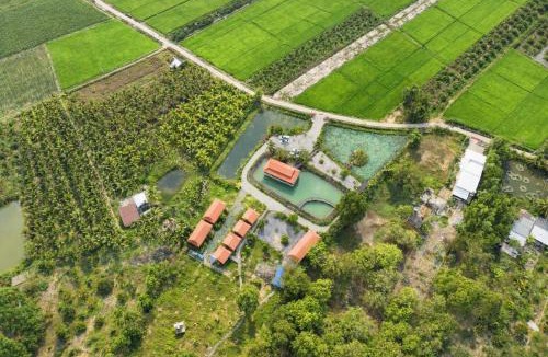 Nam Cat Tien Bed & Breakfast | Dream Hill Homestay