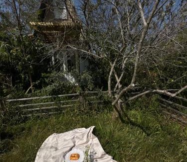 Phuong Cabin | Dreamer Cabin Tre house Dalat