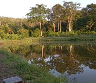 Kuala Krai House | Dusun Rimbun Agro Farmstay 2