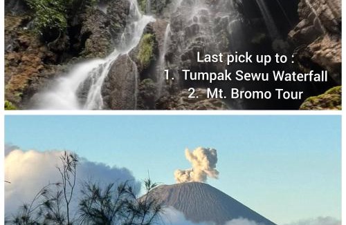 Jawa Timur Hostel | ELTARI Pine House