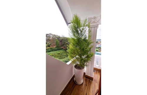 Da Lat House | Entire Home: Beautiful, Brand-new built in 2022