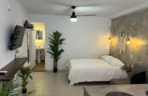 Downtown San Jose del Cabo Apartment | Estudio centro histórico #7