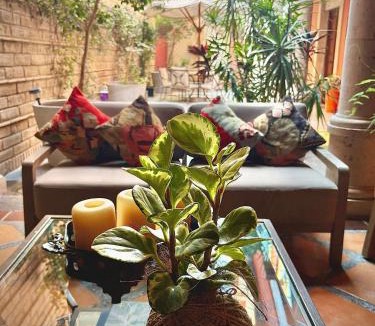 Zona Centro House | Exclusive Luxury Guest Center House