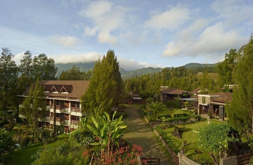 Ngadisari Apartment | Executive room at Jiwa Jawa Bromo