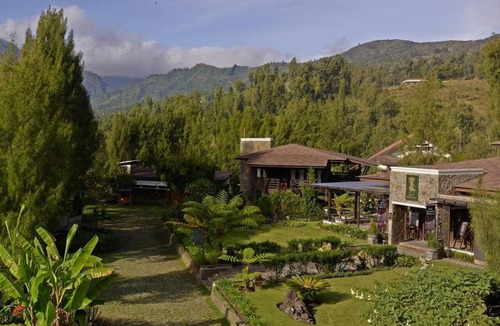 Ngadisari Apartment | Executive room at Jiwa Jawa Bromo