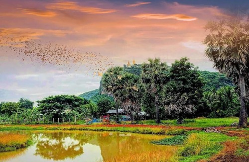 Banan House | Family Batcave Homestay