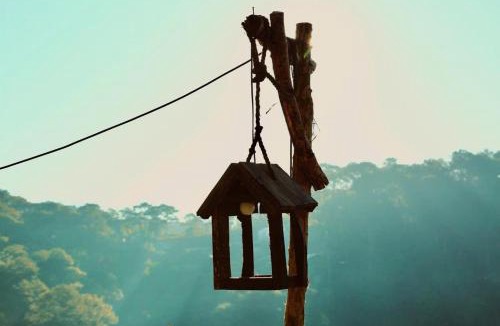 Da Lat Cabin | Family & Friends Homestay Đà Lạt