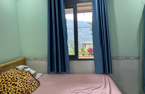 Lam Ha Bed & Breakfast | Farm cô chú Tuấn Hà