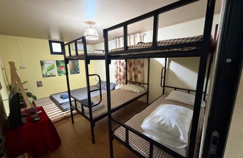 Tran Yen Other | Fish Farm Homestay