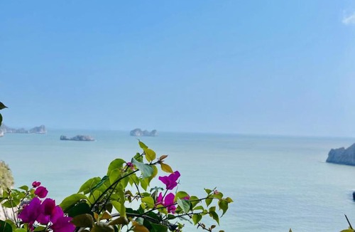 Cat Hai Apartment | Flamingo Cát Bà Resorts - Lotus Sea View