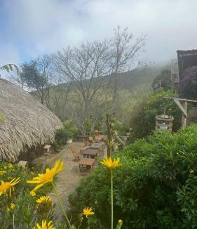 Bac Yen Apartment | Forest House Tà Xùa