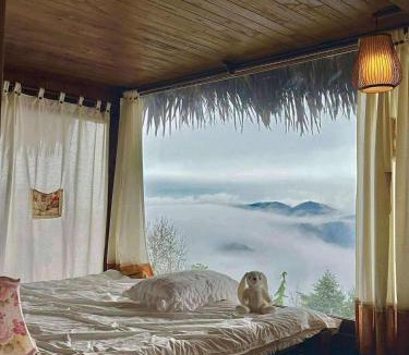 Bac Yen Apartment | Forest House Tà Xùa