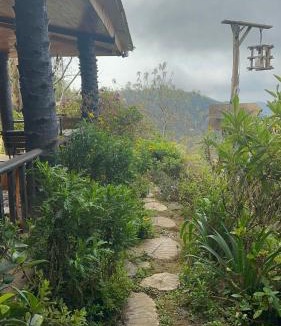 Bac Yen Apartment | Forest House Tà Xùa
