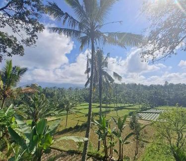 Kecamatan Pringgasela House | Forest Side Bungalow