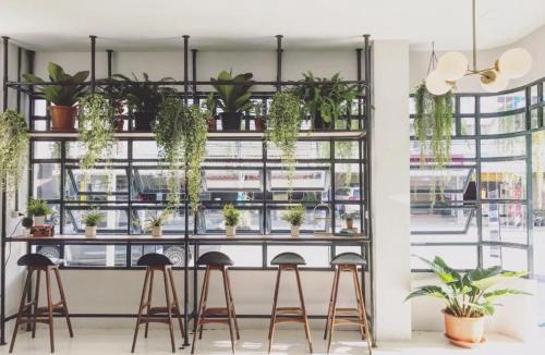 Noen Phra Hotel | Fun Hotel