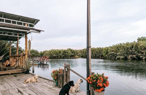 Kampot Hostel | Funky Moon Kampot