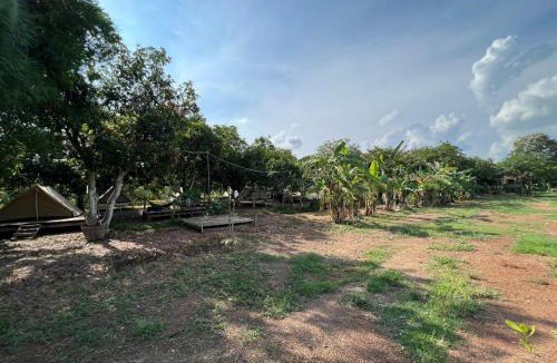 Vinh Cuu Other | Gạo Farmstay