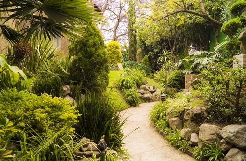 Coyoacan Apartment | GARDEN HOUSE, WELCOME TO SAN ANGEL NEIGHBOURHOOD