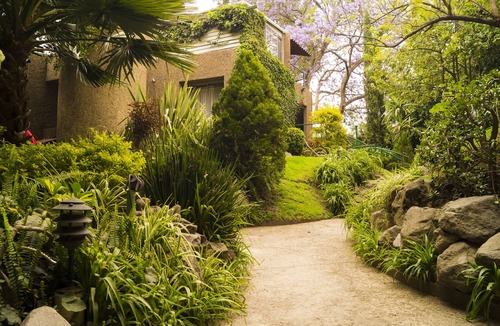 Campestre House | GARDEN HOUSE, WELCOME TO SAN ANGEL NEIGHBOURHOOD