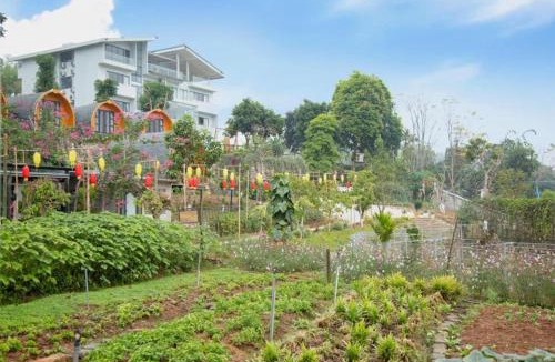 Ba Vi House | Gia Trinh Farmstay Ba Vi - Venuestay