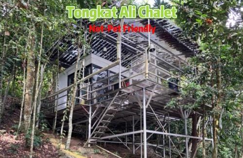 Bentong Other | Gibbon Retreat Bentong