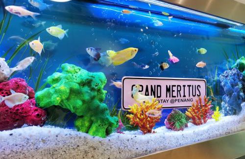 Kampung Masjid Timah Apartment | Grand Meritus Homestay @Penang