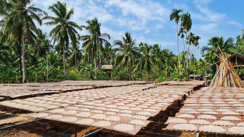 Giong Trom Cabin | Green Coconut Island