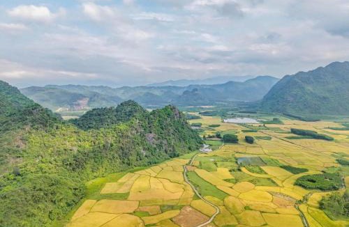 Phong Nha House | Green Riverside Cosy Home