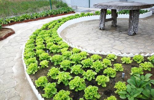Kuantan House | Greenery Garden Concept Homestay