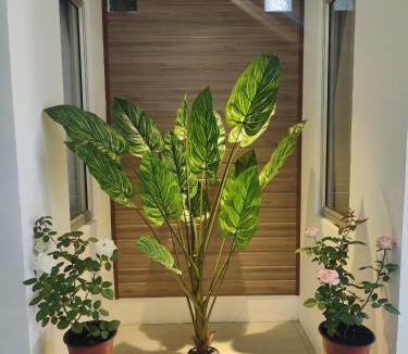 Tawau Hotel | Greenery Rooms