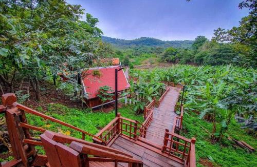 Sen Monorom Resort | Greenhouse Retreat