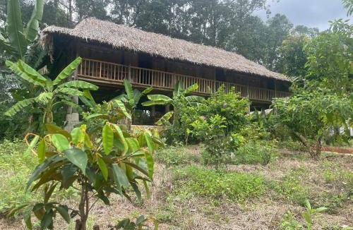 Chau Duc Other | Háo Hức Village, Suoi Rao
