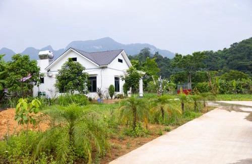 Vi Xuyen Hostel | Ha Giang Green Garden Dorm