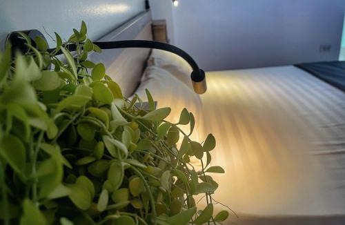 Hang Buom Hostel | Hanoi EcoStay 2 hostel