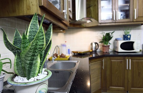 Nhat Tan House | Hanoi Friendly House - Your home in Hanoi!