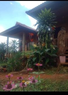 Ban Lung House | Happy bungalow & trekking
