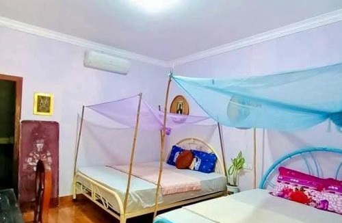 Puok House | Happy Homestay SiemReap - Local Vibe